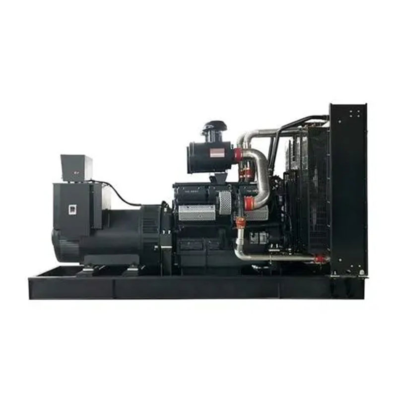 上海申動(dòng)發(fā)電機(jī)組